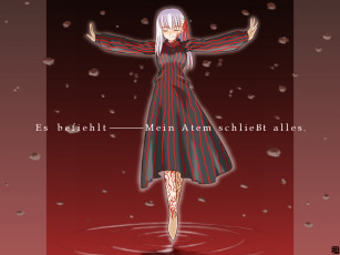 Картинка бегом по крови аниме fate stay night