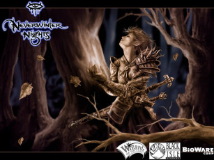 Картинка видео игры neverwinter nights