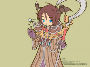 Картинка видео игры ragnarok online