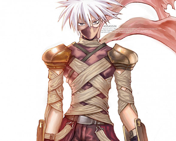 Обои картинки фото видео, игры, ragnarok, online