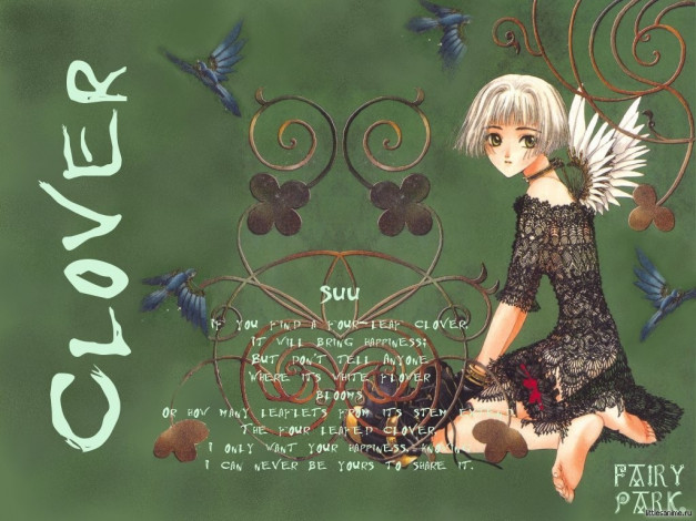 Обои картинки фото аниме, clover