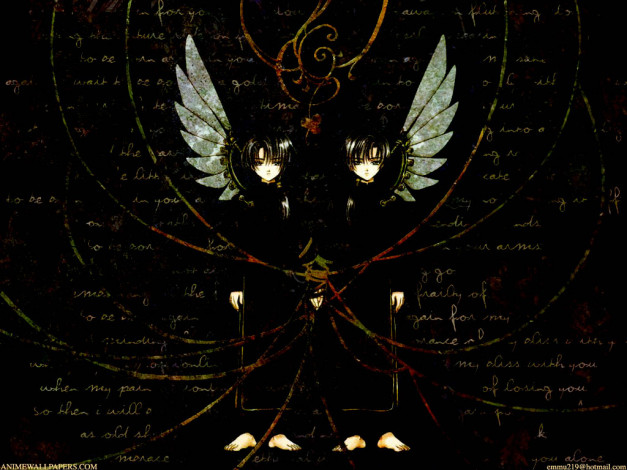 Обои картинки фото аниме, clover