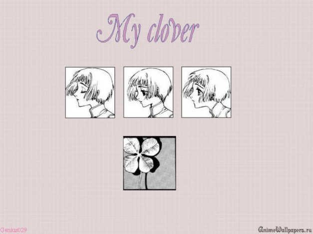 Обои картинки фото аниме, clover