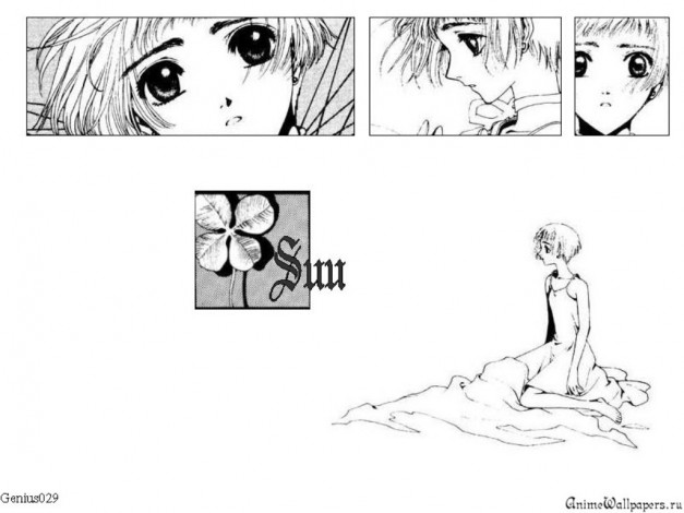 Обои картинки фото аниме, clover