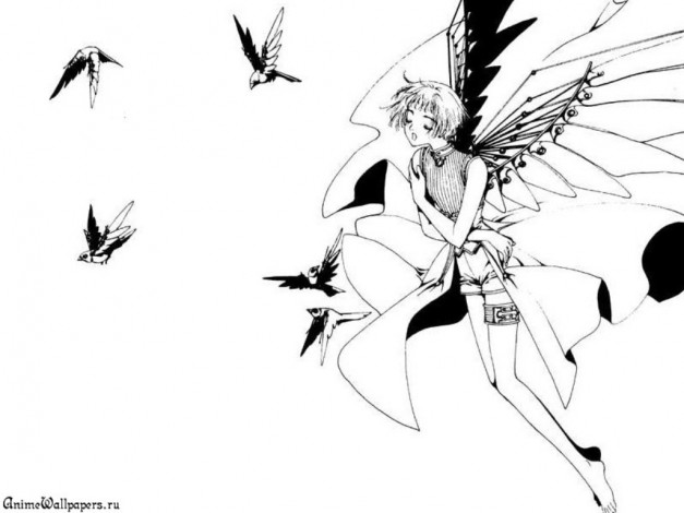 Обои картинки фото аниме, clover