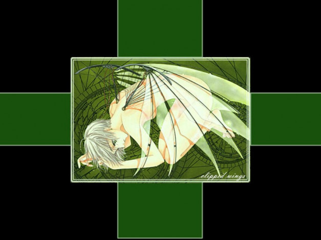 Обои картинки фото аниме, clover