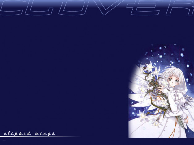 Обои картинки фото аниме, clover