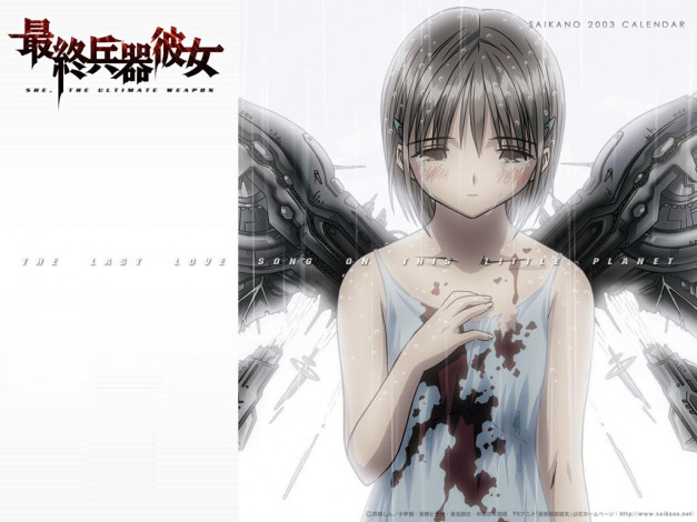 Обои картинки фото saikano, аниме