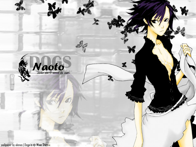 Обои картинки фото аниме, dogs, bullets, carnage