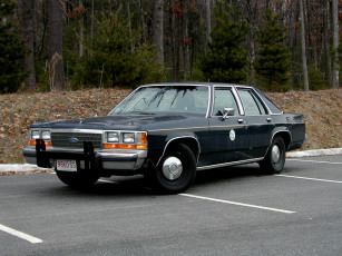 Картинка автомобили ford