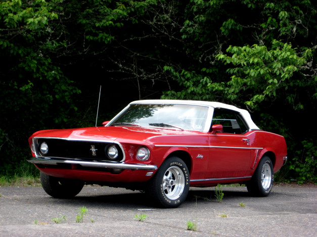 Обои картинки фото автомобили, ford