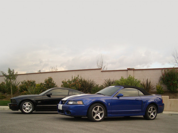 Обои картинки фото автомобили, ford