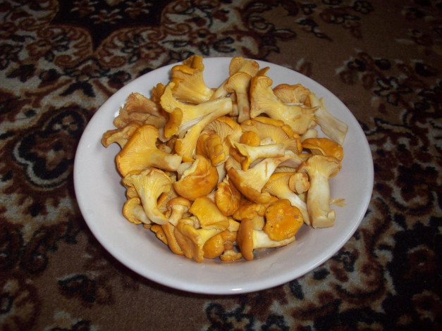 Обои картинки фото еда, грибы, грибные, блюда