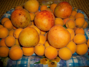 обоя еда, персики, сливы, абрикосы