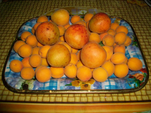 Картинка еда персики сливы абрикосы