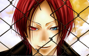 Картинка katekyo hitman reborn аниме