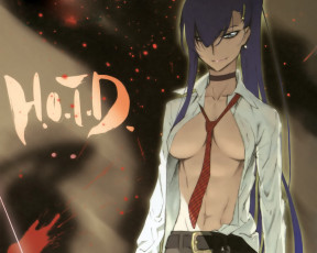 Картинка аниме highschool of the dead девушка грудь