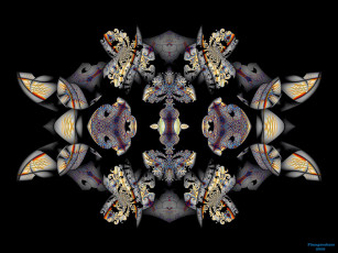 Картинка 3д графика fractal фракталы