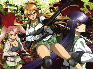 Картинка аниме highschool of the dead девушки оружие