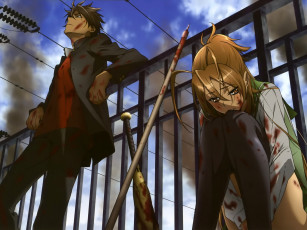 Картинка аниме highschool of the dead отдых девушка