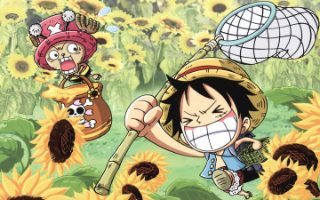 Картинка аниме one piece сачек подсолнухи monkey d luffy chopper