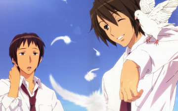 Картинка аниме the melancholy of haruhi suzumiya голубь мальчики