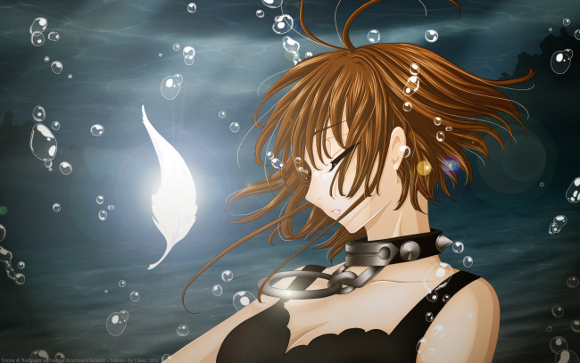 Обои картинки фото tsubasa, reservoir, chronicle, аниме, chronicles, sakura, kinomoto