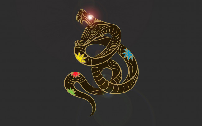 Обои картинки фото векторная, графика, дракон