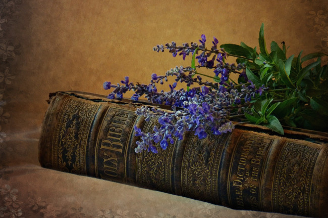 Обои картинки фото разное, религия, лаванда, библия