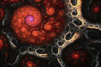 Картинка 3д+графика фракталы+ fractal цвета фон узор