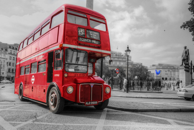 Обои картинки фото автомобили, автобусы, транспортное, средство, автомобиль