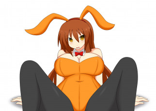 Картинка разное арты фон взгляд девушка ушки