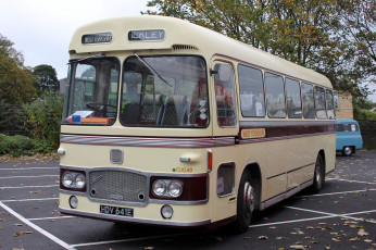 Картинка автомобили автобусы пассажирский транспорт