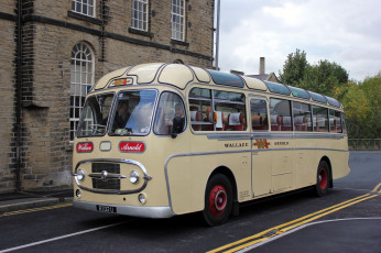 Картинка автомобили автобусы пассажирский транспорт