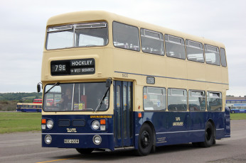 Картинка автомобили автобусы пассажирский транспорт