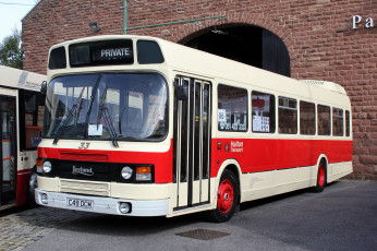 Картинка автомобили автобусы пассажирский транспорт