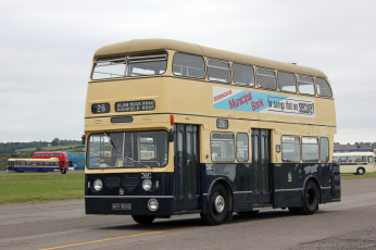 Картинка автомобили автобусы пассажирский транспорт