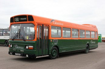 Картинка автомобили автобусы пассажирский транспорт