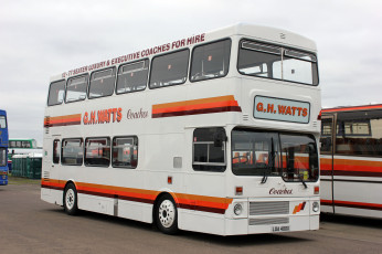 Картинка автомобили автобусы пассажирский транспорт