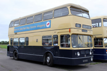 Картинка автомобили автобусы пассажирский транспорт