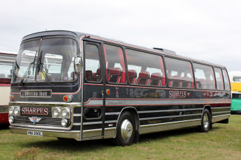 Картинка автомобили автобусы транспорт пассажирский