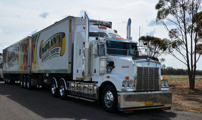 Обои картинки фото kenworth t409, автомобили, kenworth, тяжелый, тягач, седельный, грузовик