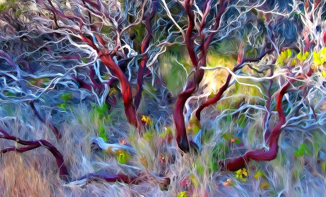 Обои картинки фото разное, компьютерный дизайн, цветы, трава, ветки, дерево, природа, линии, краски, штрих