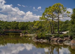 Картинка природа реки озера река лес