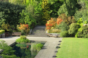 Картинка природа парк деревья трава водоем ступени скамейки