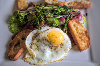 Картинка еда Яичные+блюда ланч