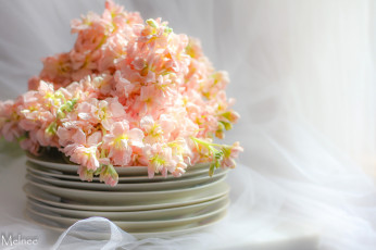 Картинка интерьер декор +отделка +сервировка посуда фон цветы