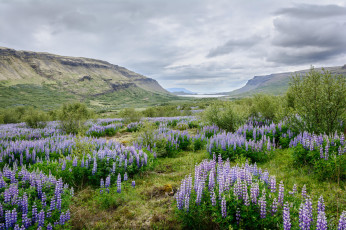 Картинка природа пейзажи простор