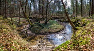 Картинка природа реки озера река лес