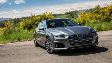 Картинка audi+a5+sportback+2018 автомобили audi a5 sportback 2018